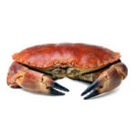 Seafood: Herky's Deviled Crabs Seafood: Herky's Deviled Crabs