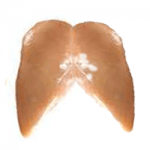 Chicken: Boneless Skinless Chicken Breasts Chicken: Boneless Skinless Chicken Breasts