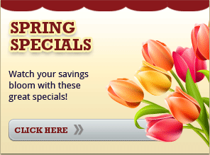 Spring Specials