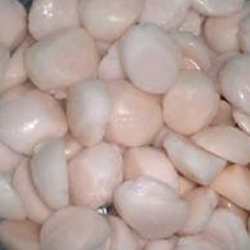 Seafood: Bay Scallops