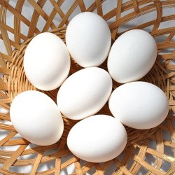  Eggs: 1 Dozen Extra-Large Farm Fresh